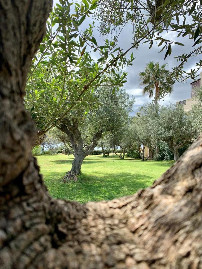Aggelos And Thisbe Chania Suburbs Sea View Guest House 외부 사진