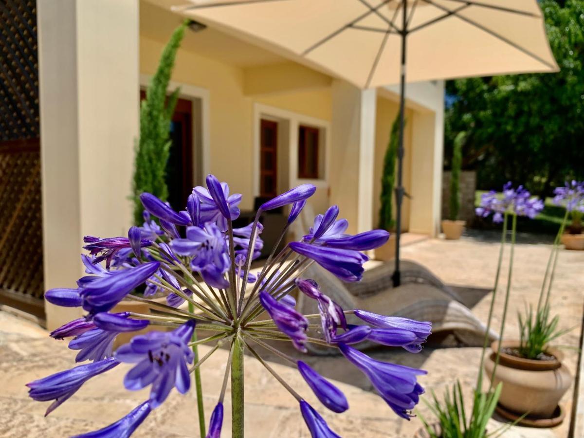 Aggelos And Thisbe Chania Suburbs Sea View Guest House 외부 사진